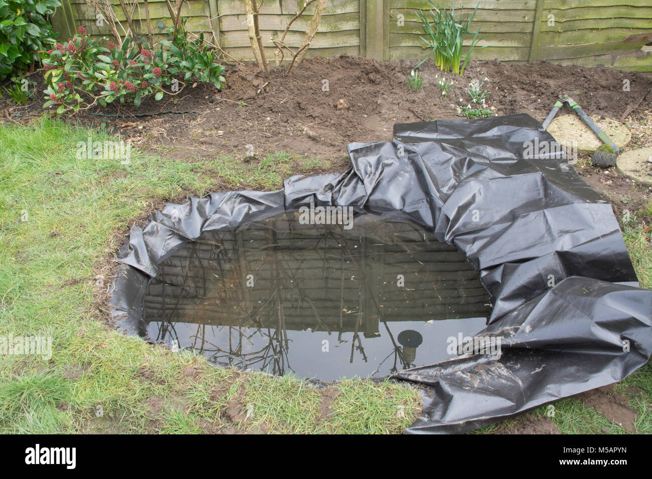 Preparing and lining a garden pond for wildlife. Step 4 of 4 Stock