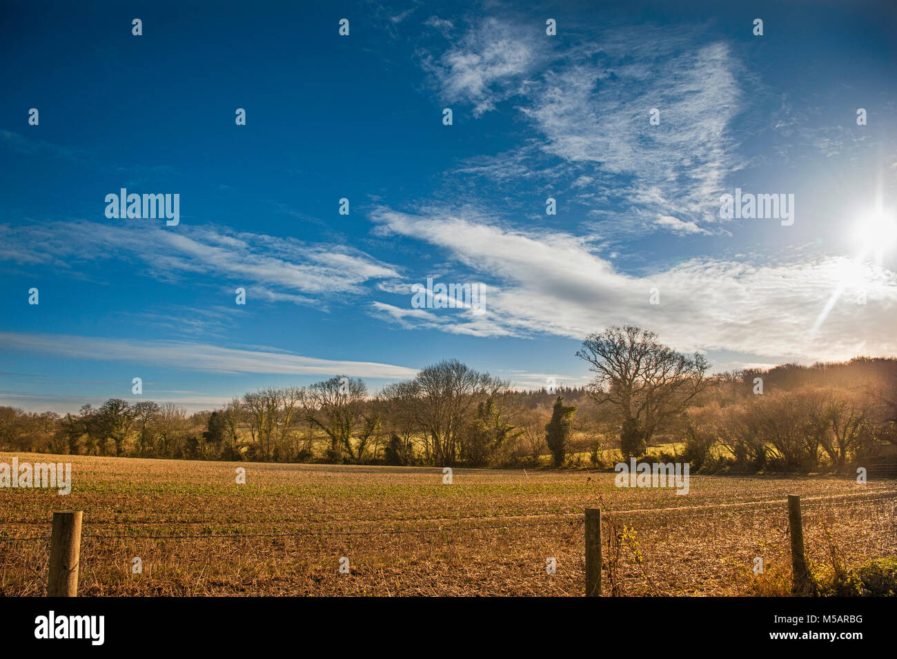 Cley Hill Warminster Wiltshire Stock Photo Alamy