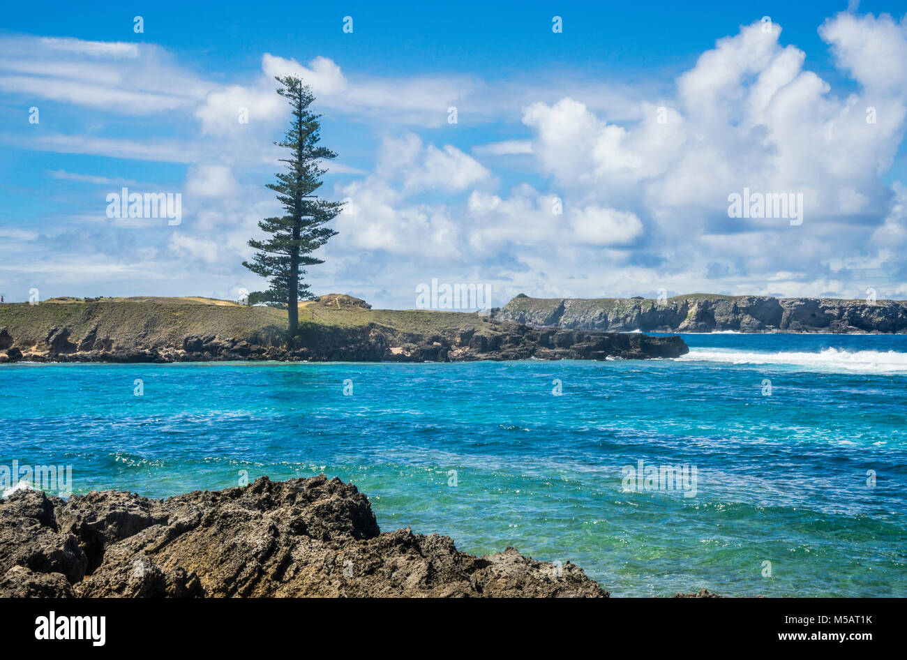 Norfolk Island, Australian external territory, view of Point Hunter and the lone pine Stock Photo