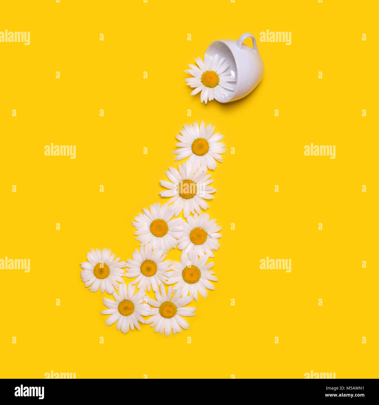 Creative original concept with a white cup and flowers on a yellow background. Large chamomiles pour out of the cup. Surrealistic composition with cha Stock Photo