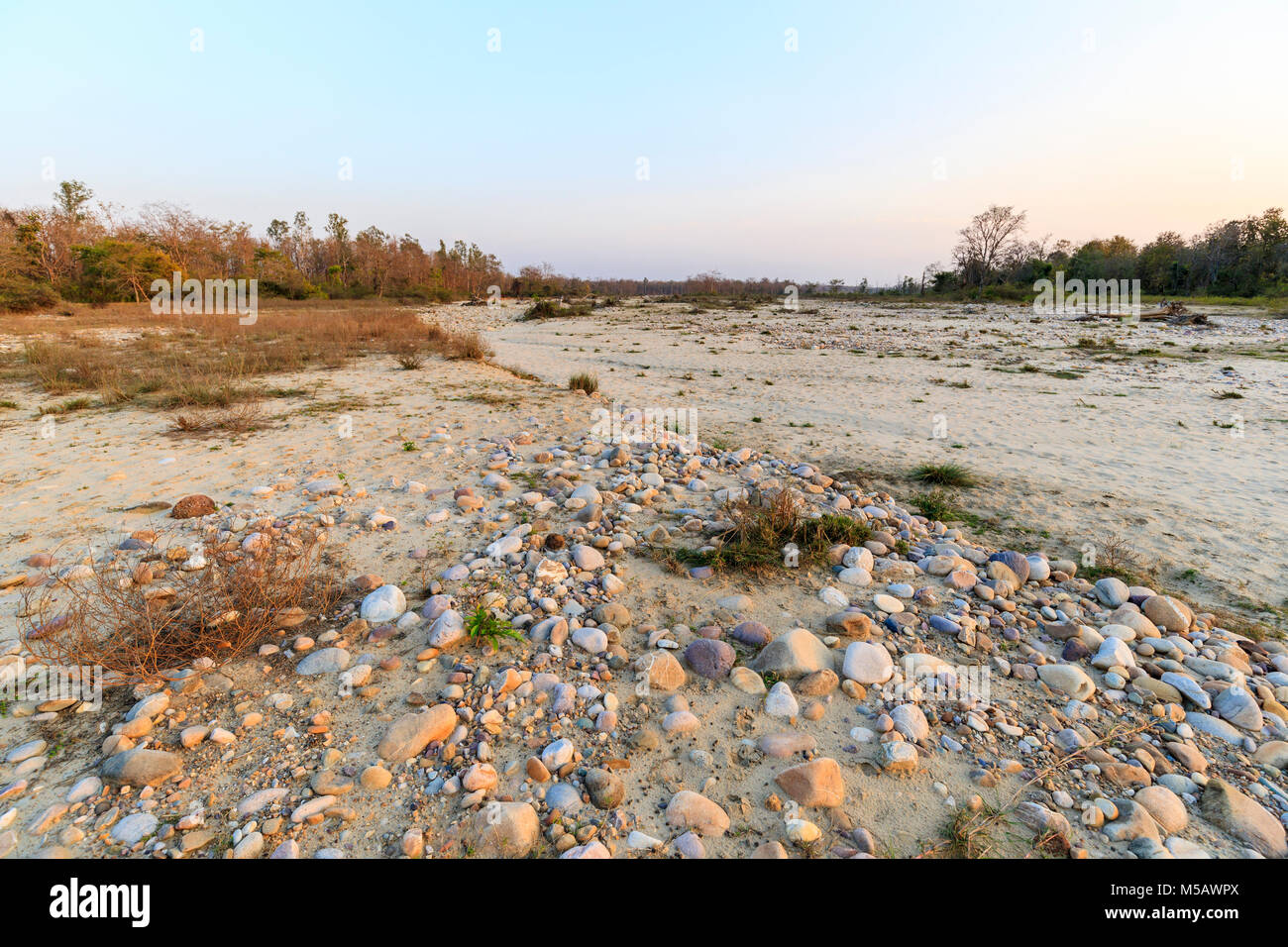 North Indian ecology: View of dried up riverbed in Jim Corbett National Park wildlife sanctuary, Ramnagar, Uttarakhand State, northern India Stock Photo