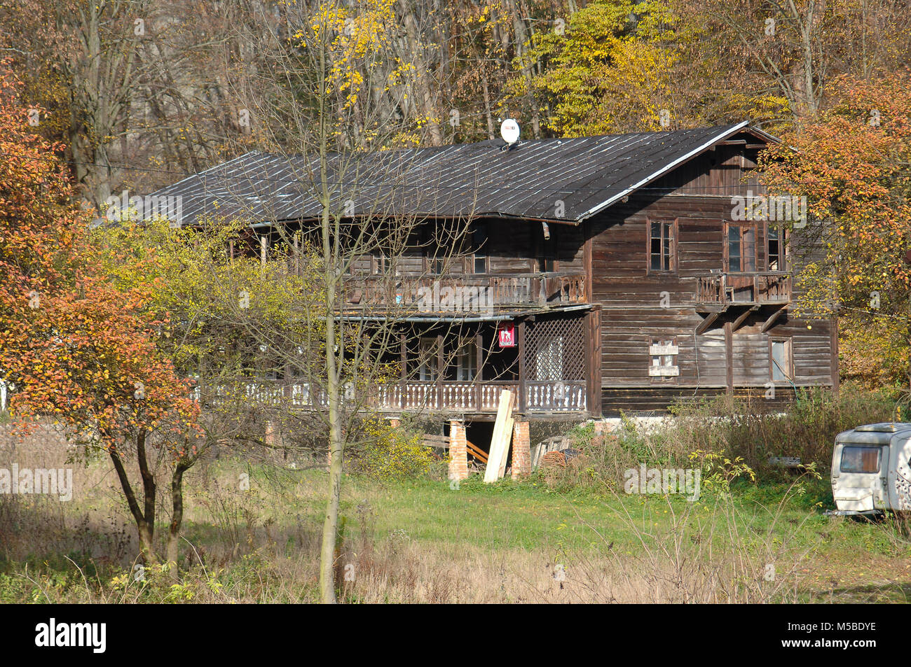 House In The Forest with Trees with Golden Dry Leaves Stock Photo - Alamy