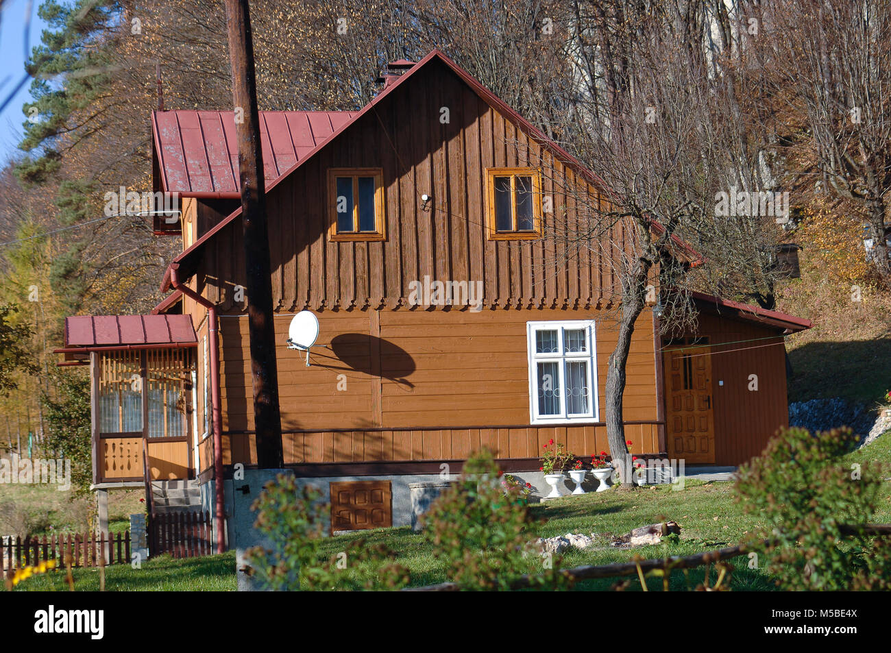 House In The Forest with Trees with Golden Dry Leaves Stock Photo - Alamy