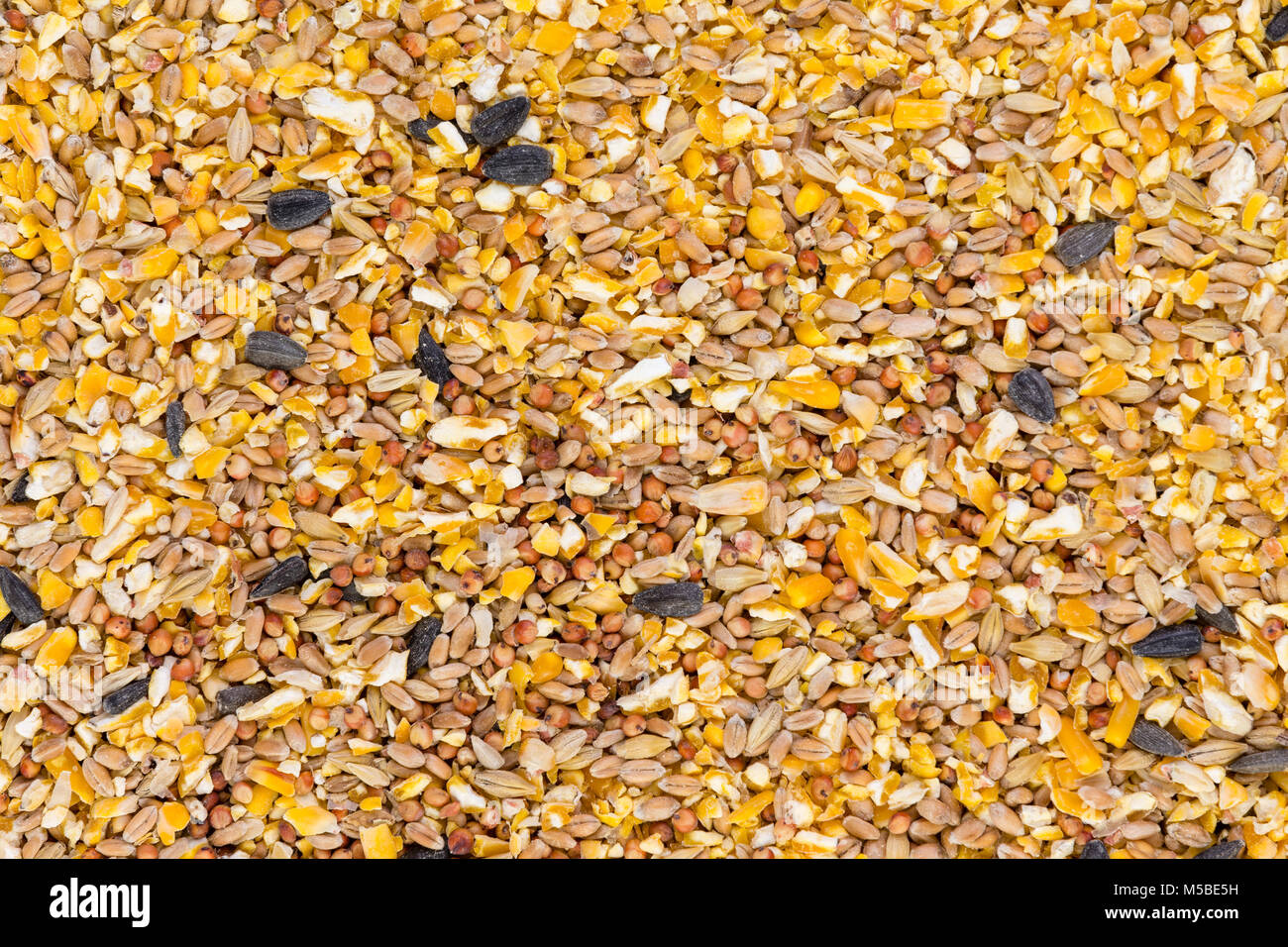Background texture of crushed seed and grain mix for livestock and bird