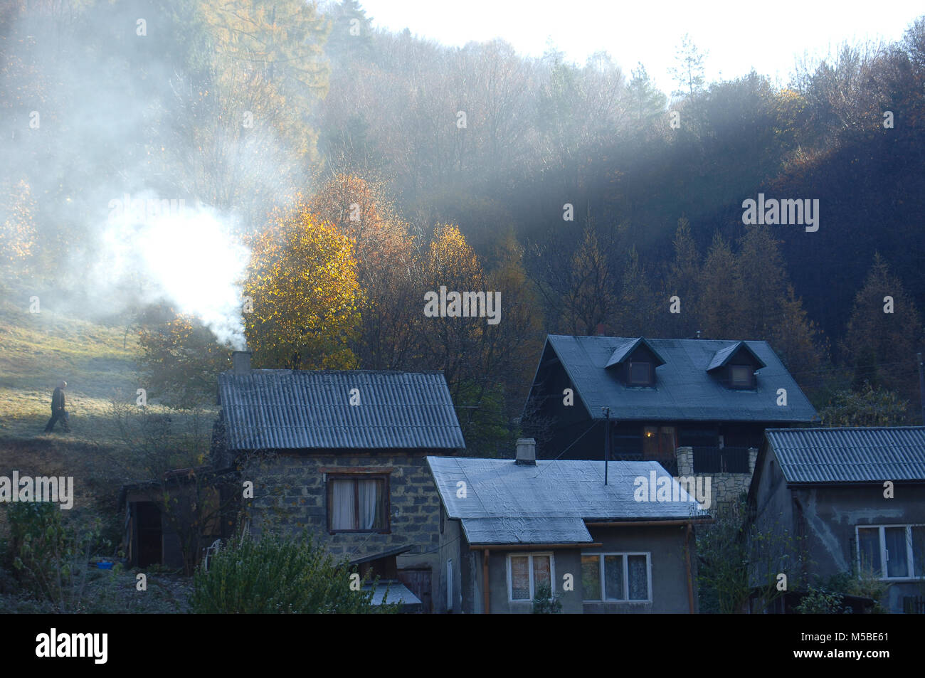 Houses In The Forest with Trees with Golden Dry Leaves Stock Photo - Alamy
