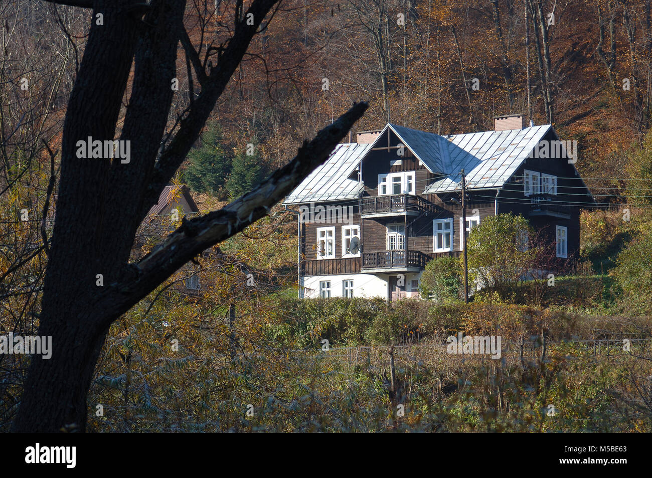 House In The Forest with Trees with Golden Dry Leaves Stock Photo - Alamy