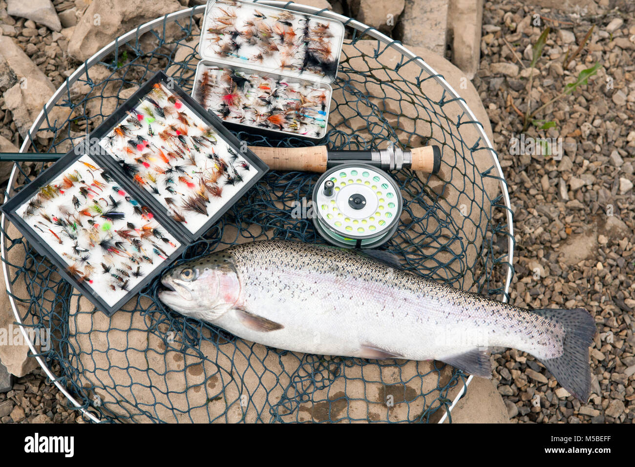 Trout flies hires stock photography and images Alamy