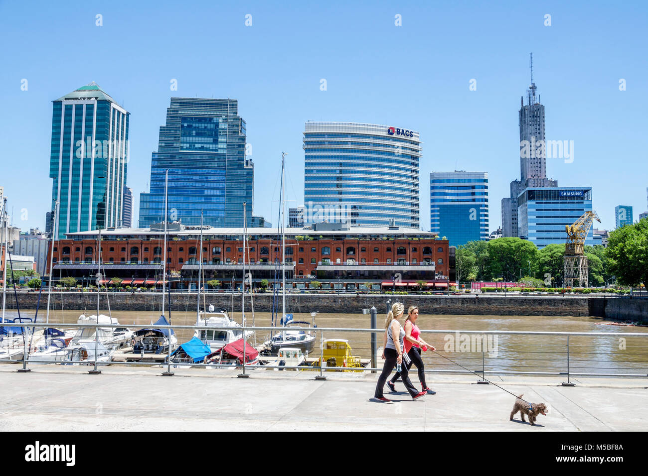 Buenos Aires Argentina,Puerto Madero,Rio Dique,water,riverfront,city skyline,buildings,Hispanic,woman female women,walking dog,boats,ARG171125258 Stock Photo