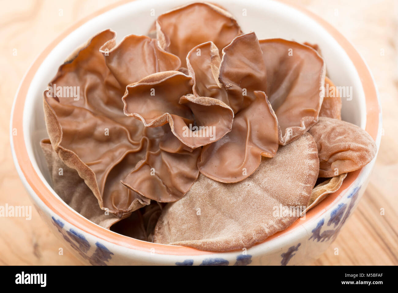 Wood ear fungi gb hires stock photography and images Alamy