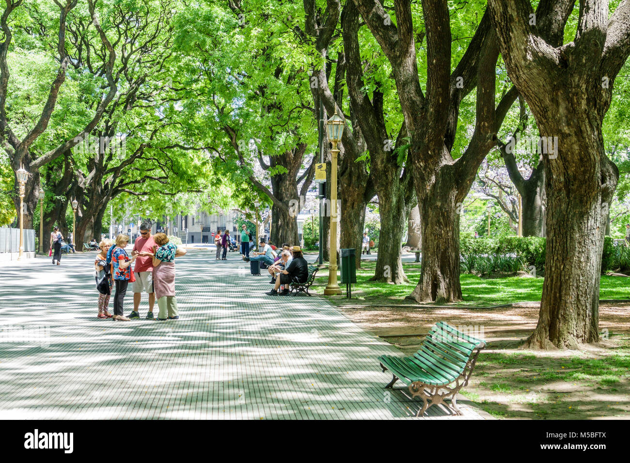 Buenos Aires Argentina,Plaza San Martin,park,green space,trees,branches,bench,shade,man men male,woman female women,Hispanic,ARG171128012 Stock Photo