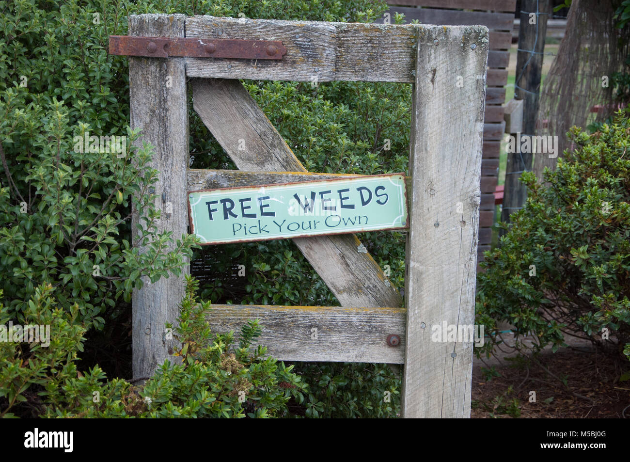 Free Weeds Pick Your Own Stock Photo