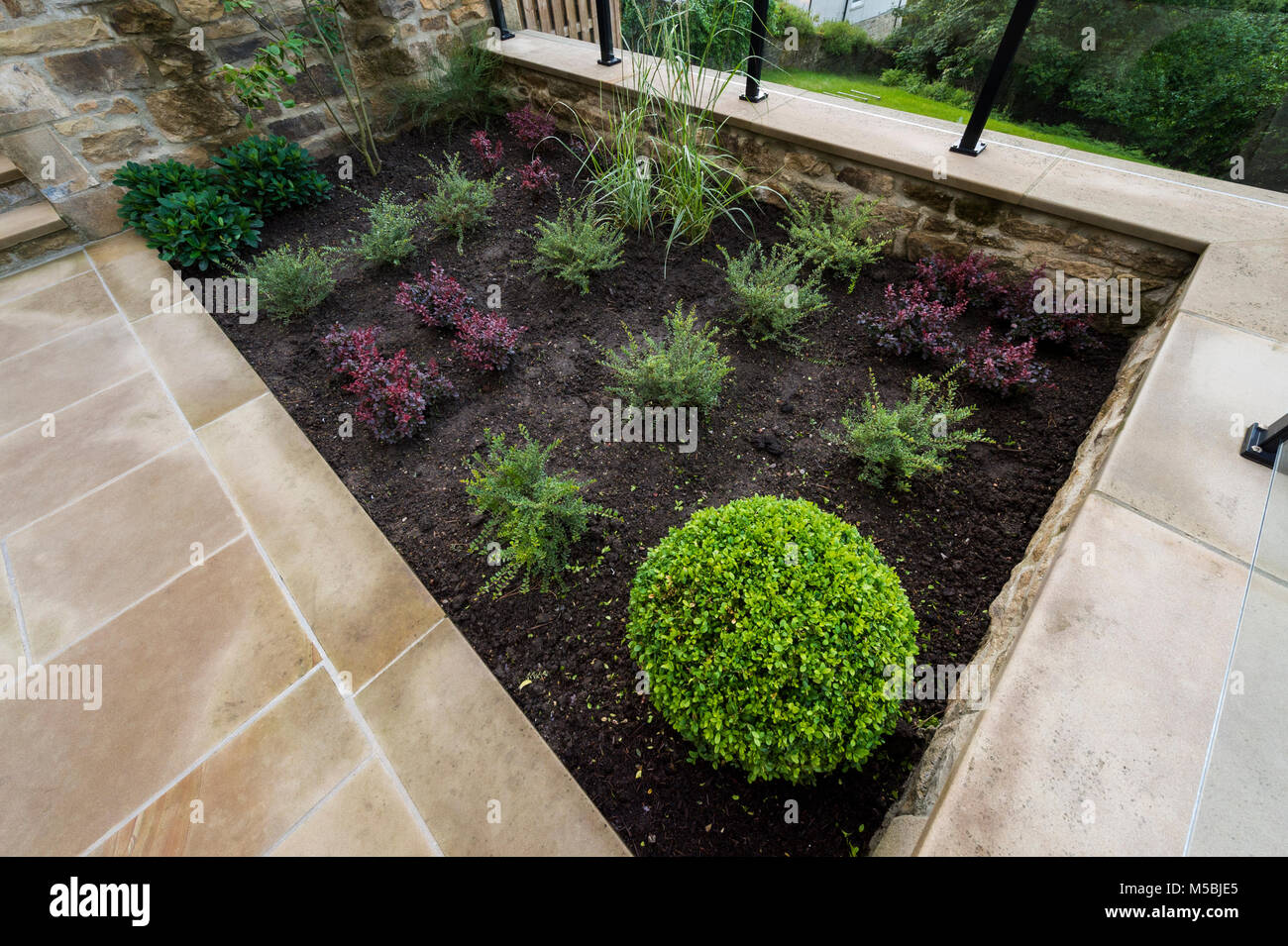Small corner of beautiful, landscaped, private garden with contemporary design, paved patio & fresh border shrubs & plants  - Yorkshire, England, UK. Stock Photo
