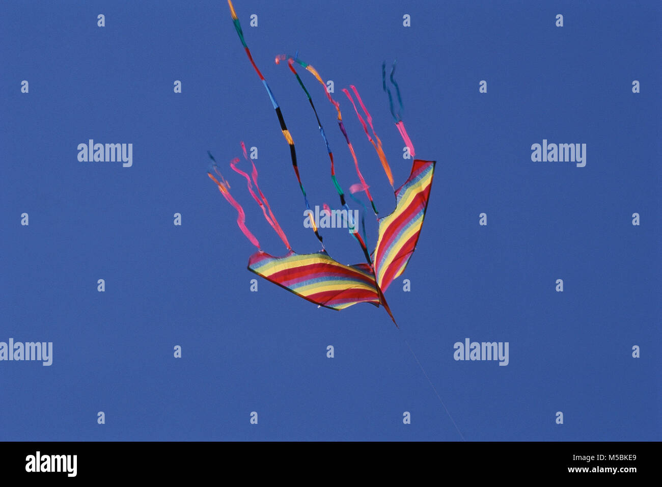 Kite flying on Kite Festival, Shivaji Park, Mumbai, Maharashtra, India Stock Photo