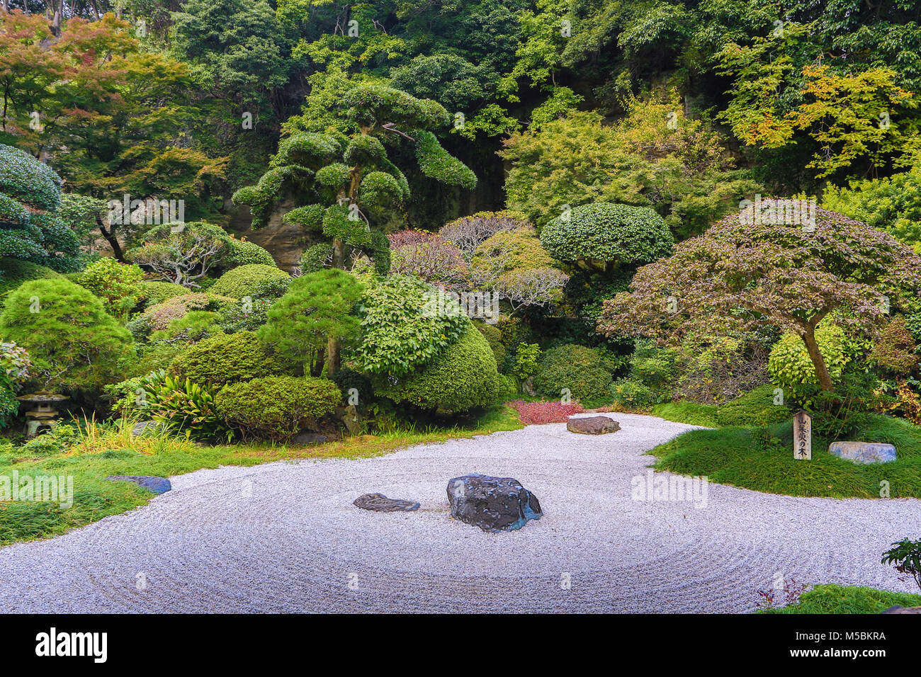 Japan, Kamakura City, Hokoku-ji Temple, Garden Stock Photo