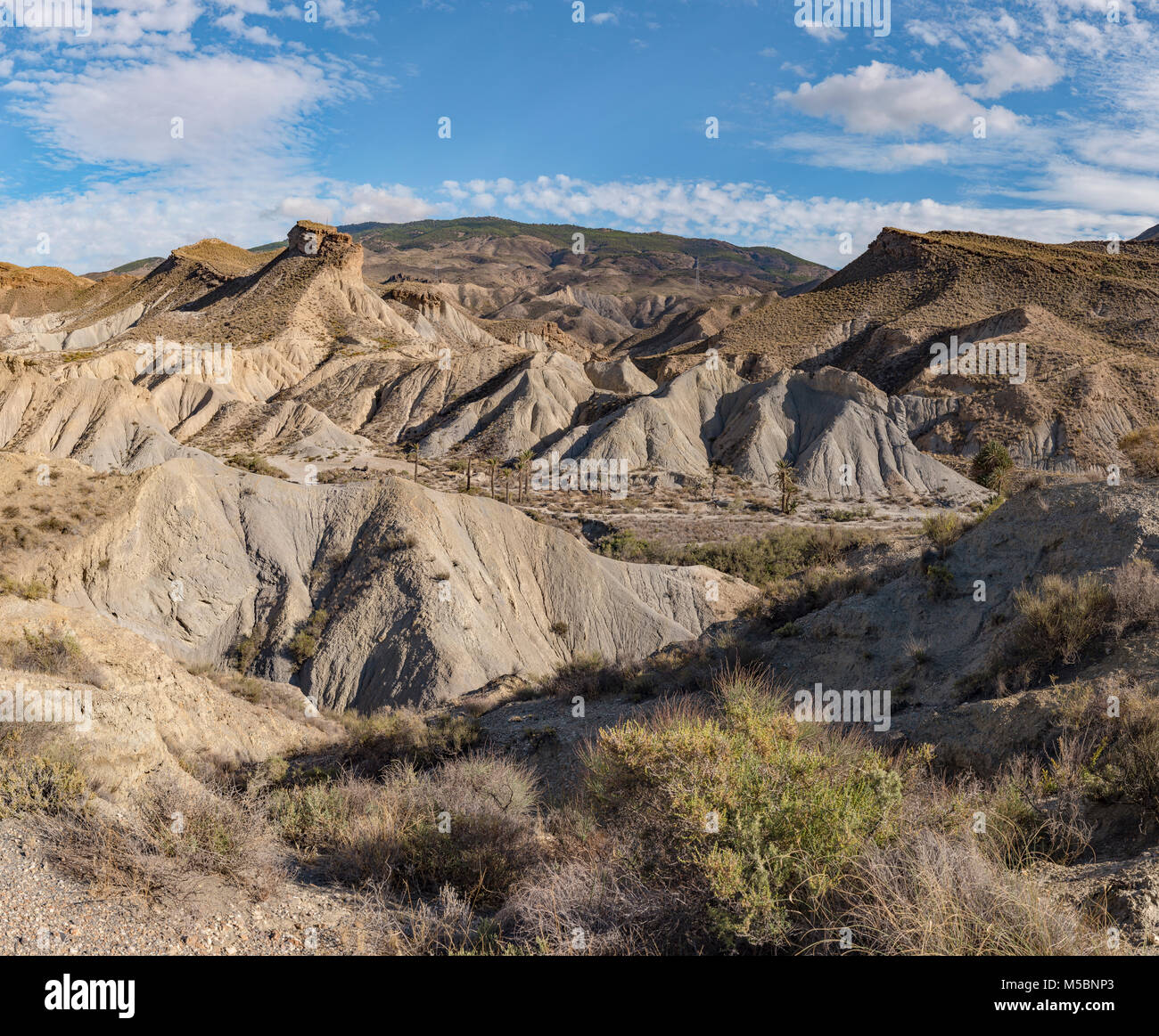 The Tabernas desert Stock Photo Alamy
