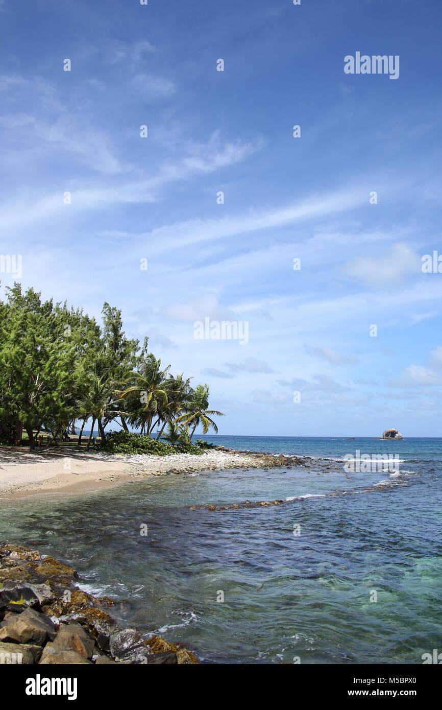 Beautiful tropical beach with palm trees, Gros Islet coastline, St Lucia, Caribbean. Stock Photo