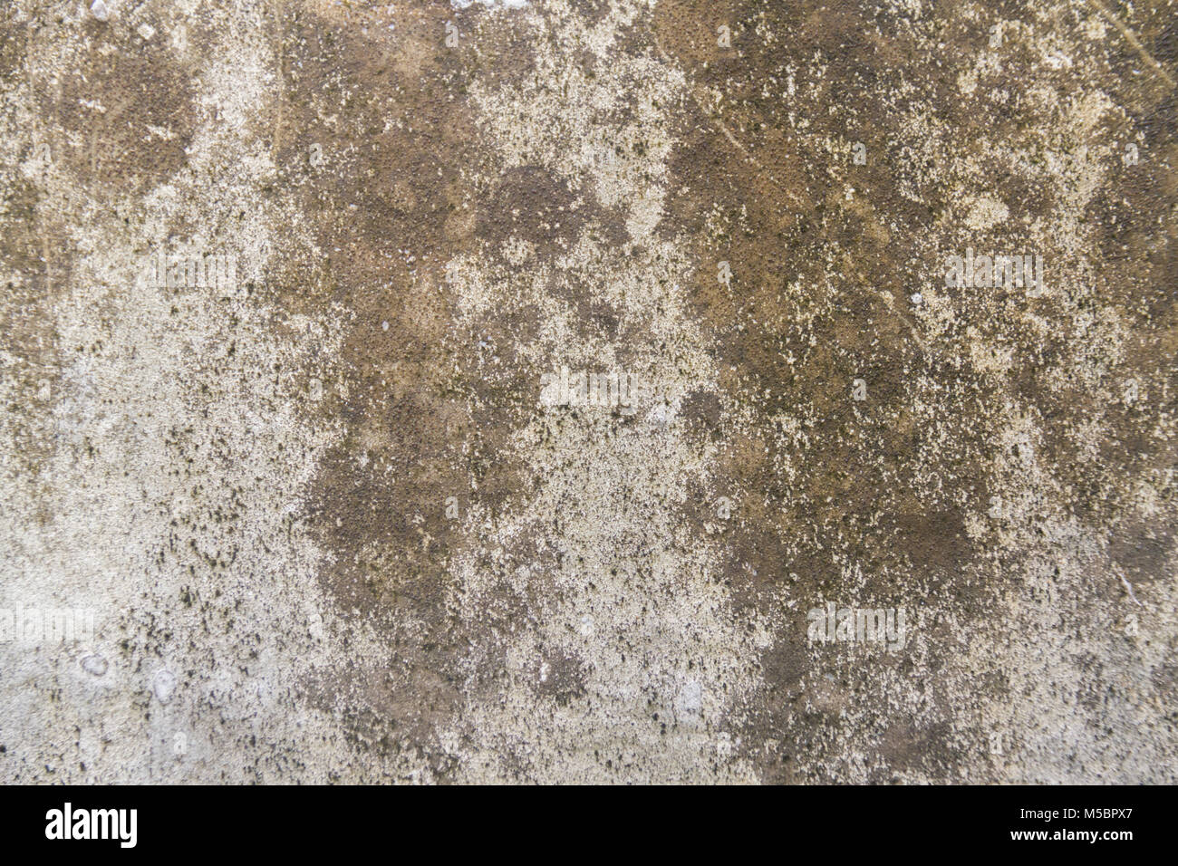 Old concrete wall hi-res stock photography and images - Alamy