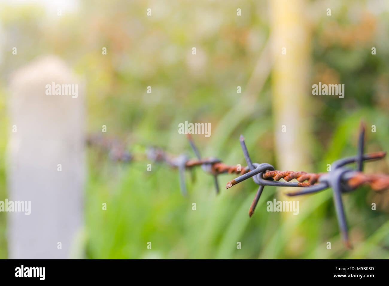 Detail of a rusty barbed wire fence on blurred nature background Stock ...