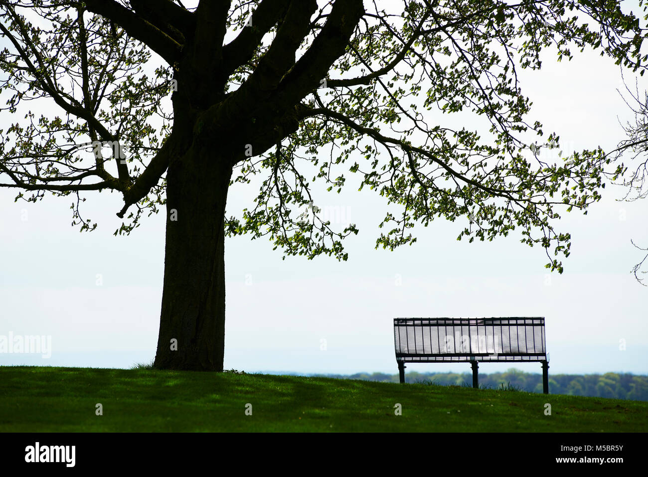 Aussicht mit Bank Stock Photo