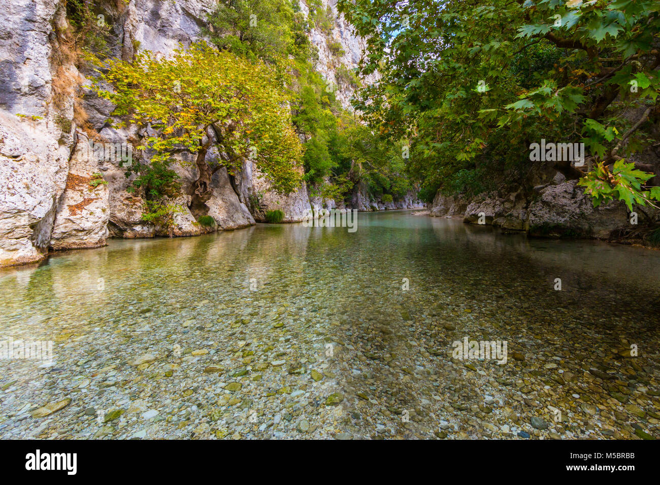 natural trees, vegetation,  rocks at Acheron river in Greece Stock Photo