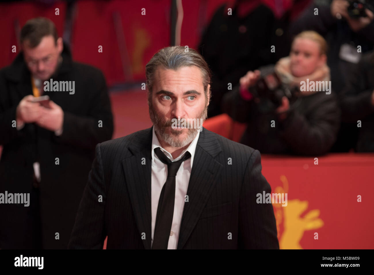 Berlin, Germany. 20th Feb, 2018. The red carpet of 'Don't Worry, He Won't Get Far on Foot' during the Berlinale 2018. Credit: Beata Siewicz/Pacific Press/Alamy Live News Stock Photo