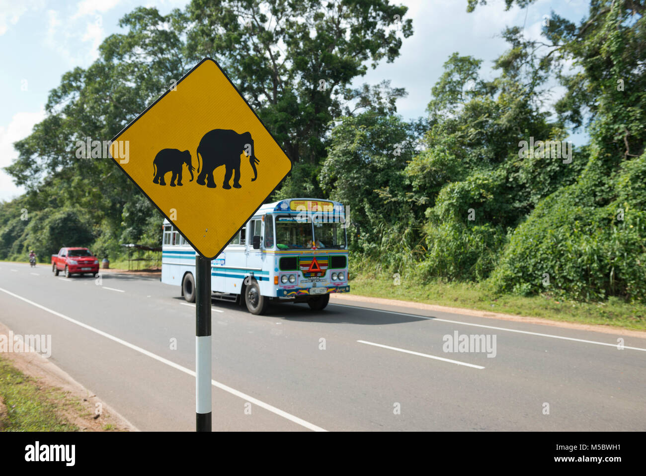 Sri Lanka, Asia, road sign, elephant Stock Photo - Alamy