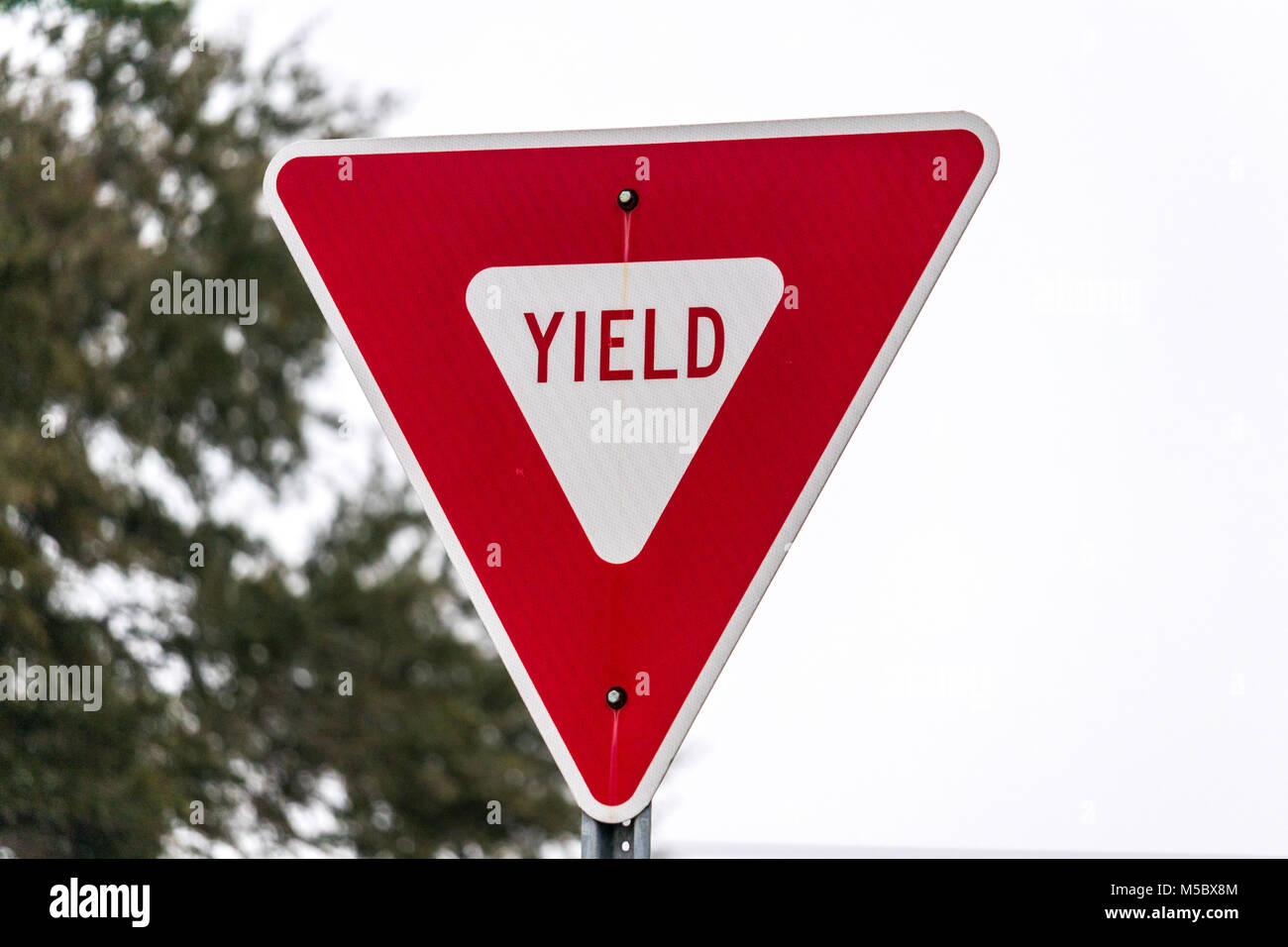 Yield sign hi-res stock photography and images - Alamy