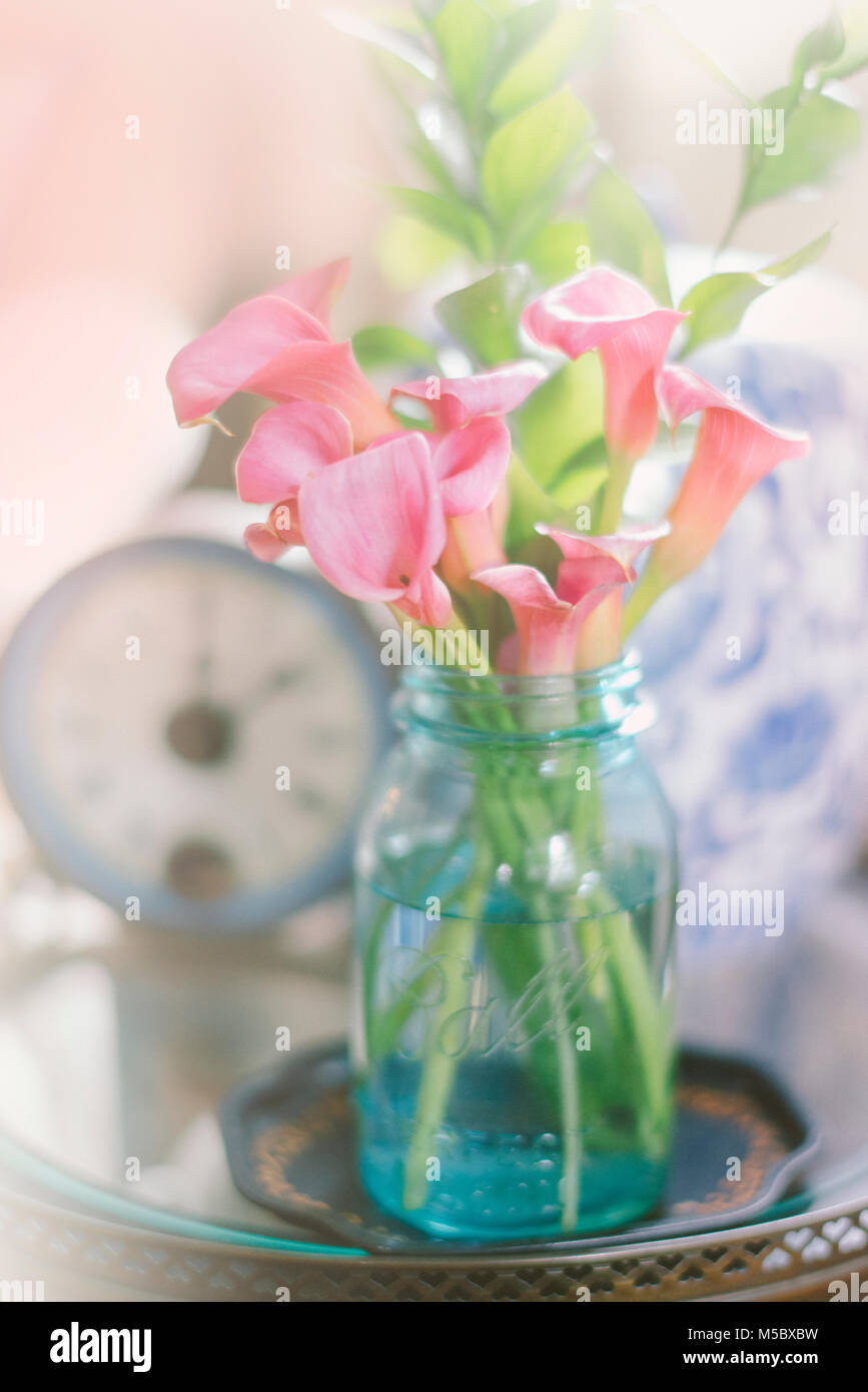 Calla lilies in jug Stock Photo
