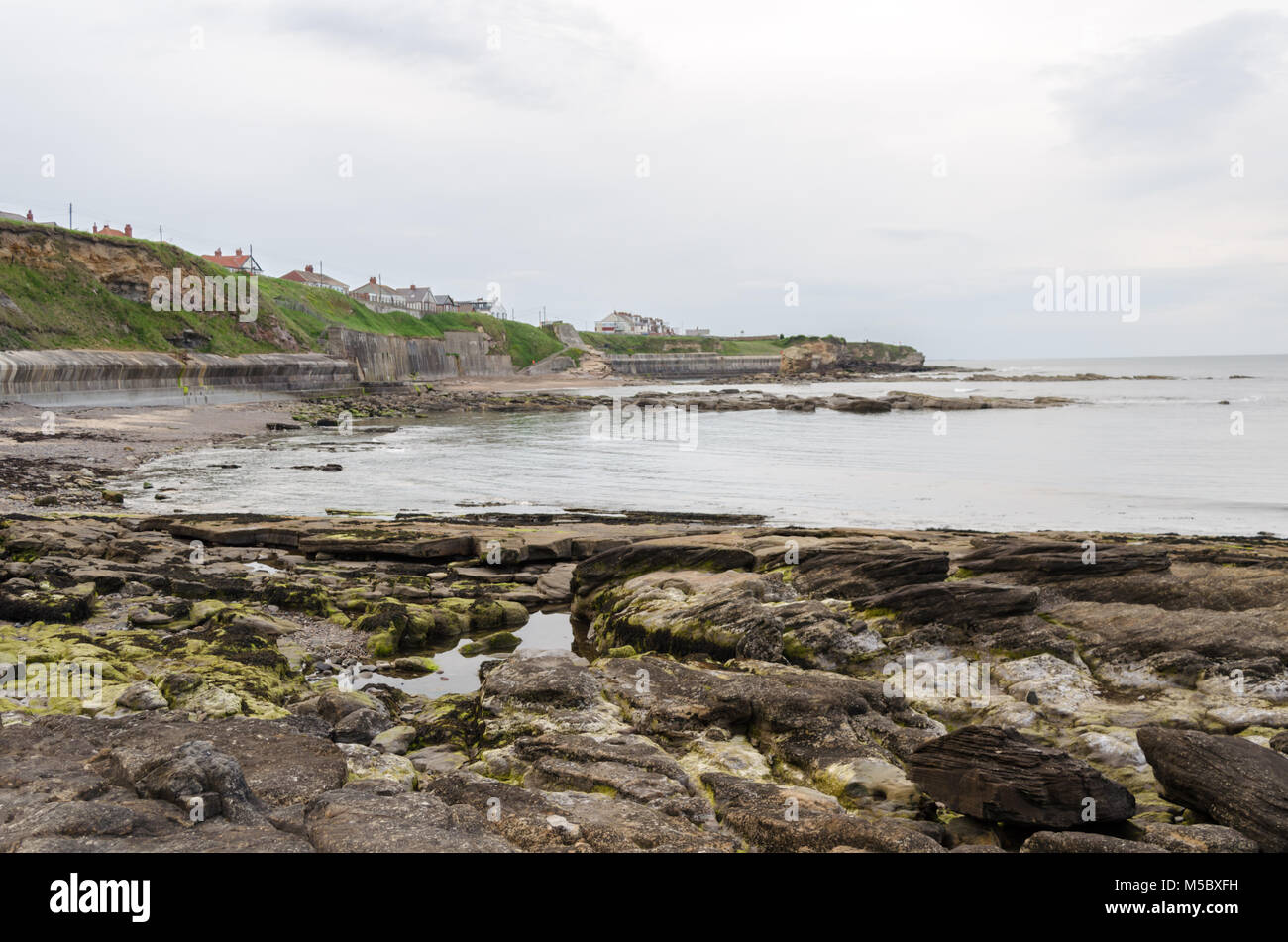 View Across the Rocks at Collywell Bay in Seaton Sluice, Northumberland Stock Photo