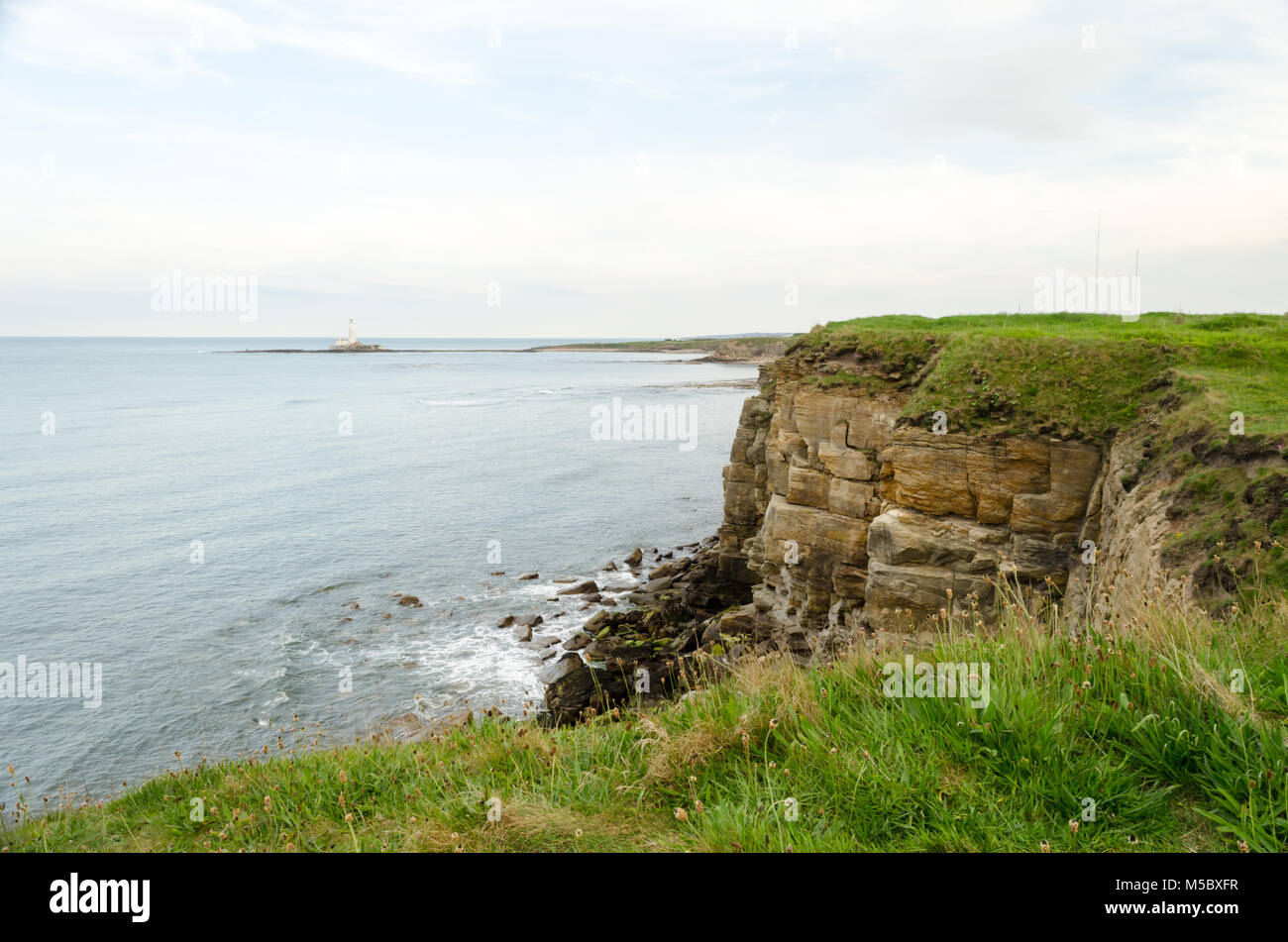Clifftop View Towards Whitley Bay from Collywell Bay, Seaton Sluice, Northumberland Stock Photo