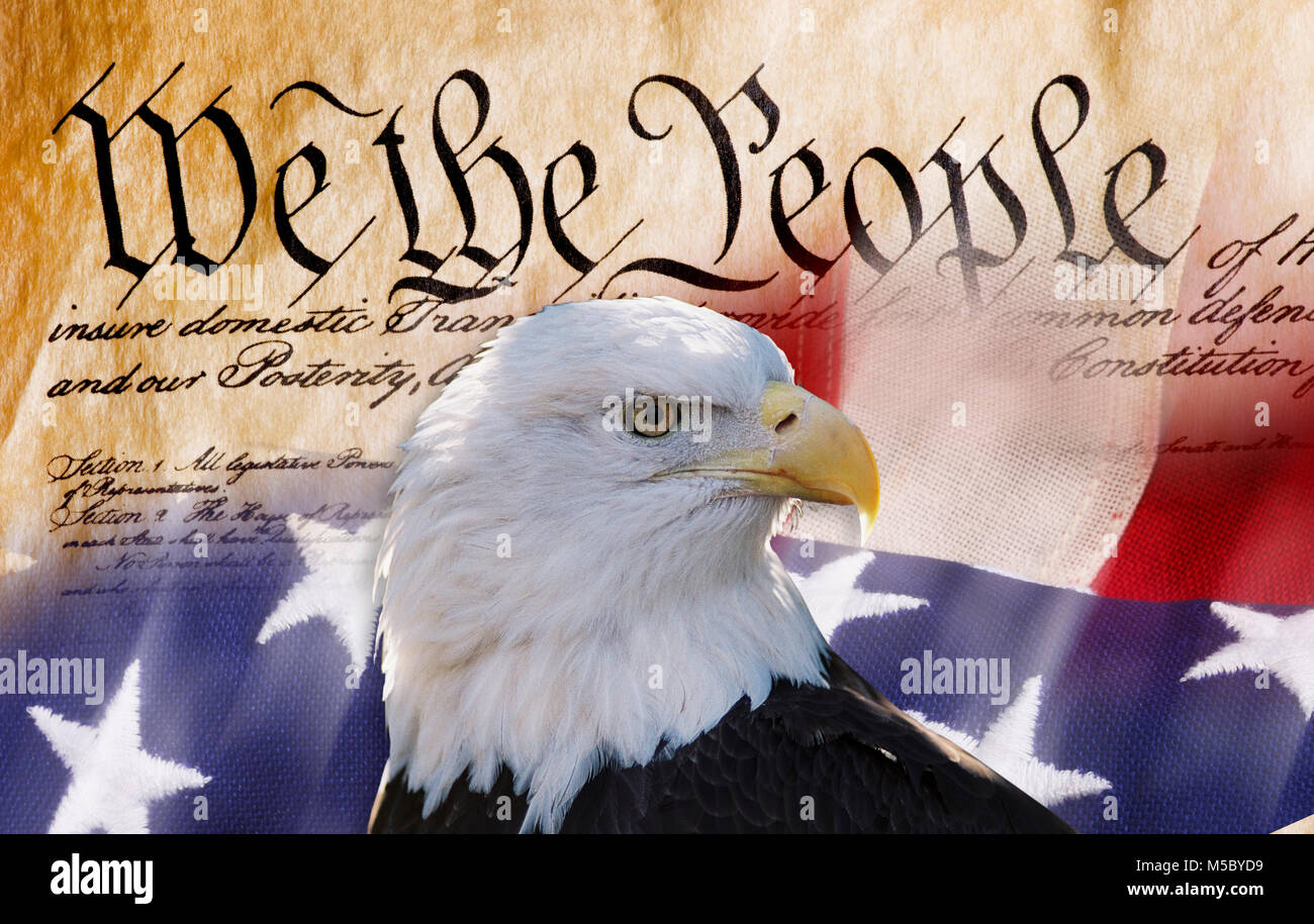 Constitution of America, We the People with bald eagle and American flag. Stock Photo