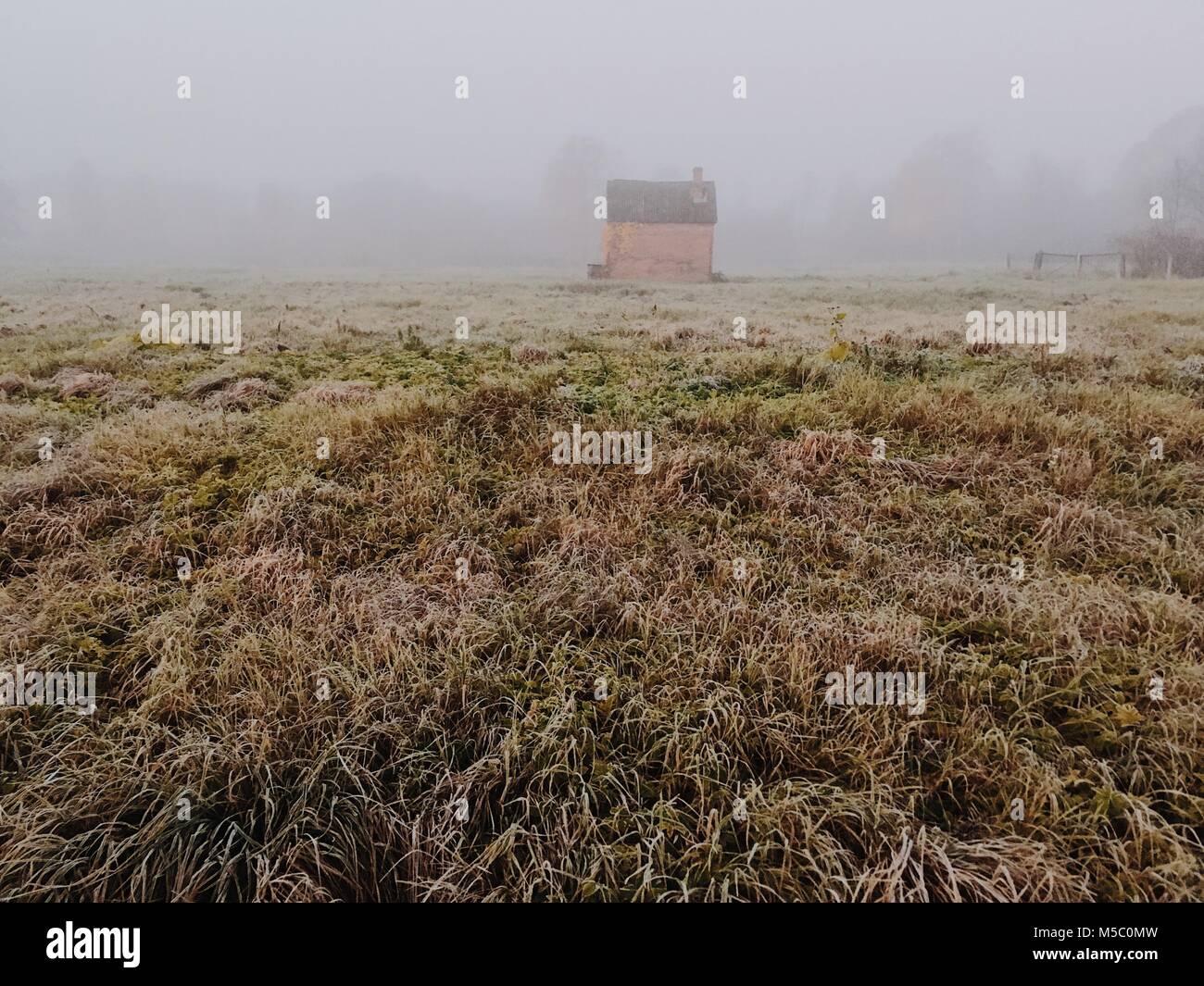 Grass field. Beautiful foggy morning scene with a little shed. Stock Photo