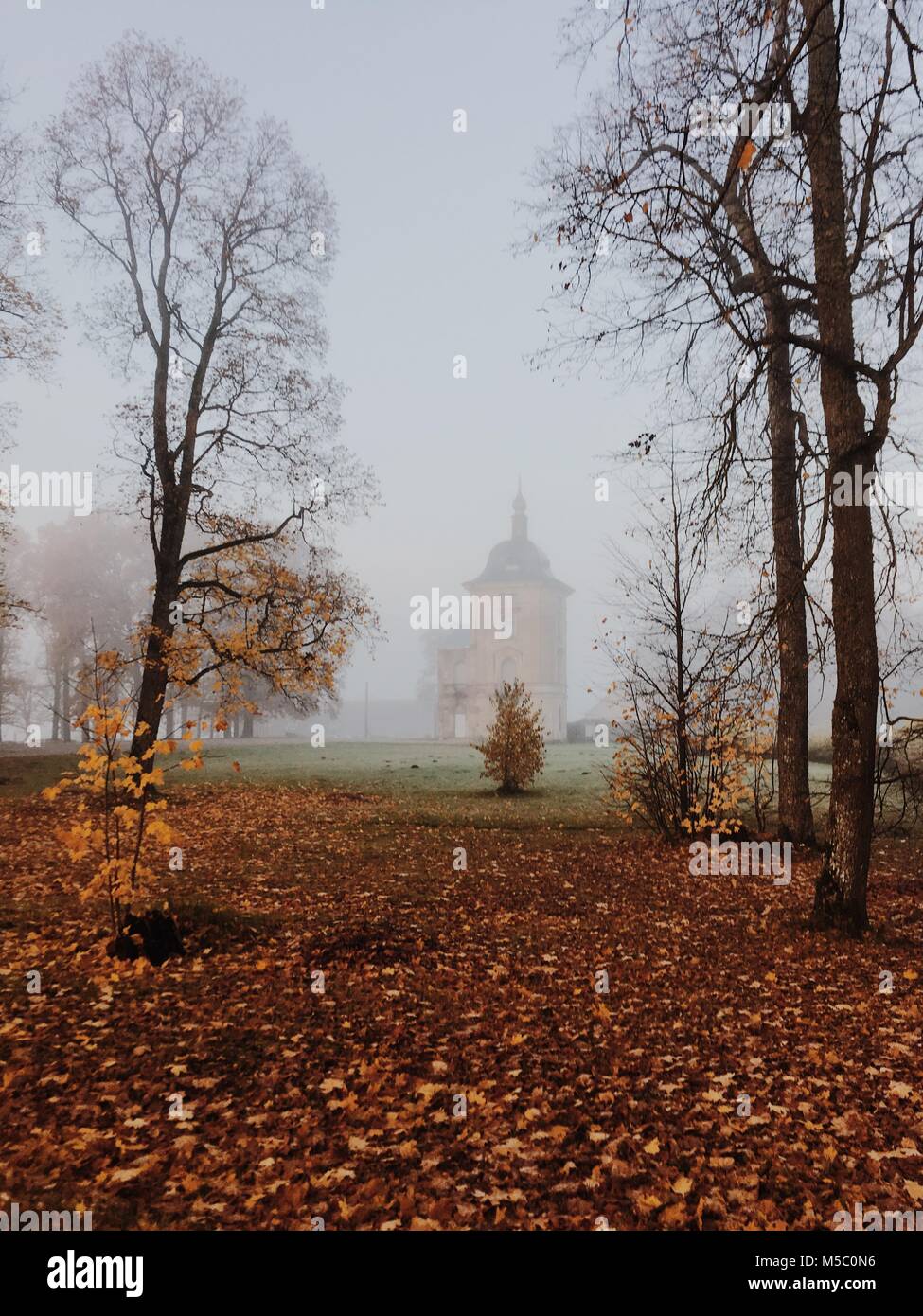 Golden-foggy morning in the manor park. Stock Photo