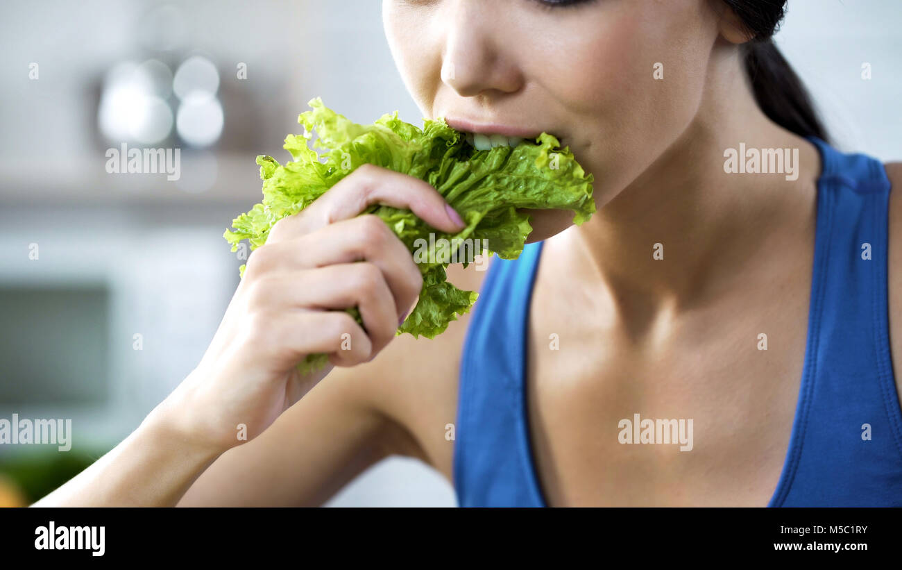 Wishing lose weight and be slim, lady making herself eating lettuce