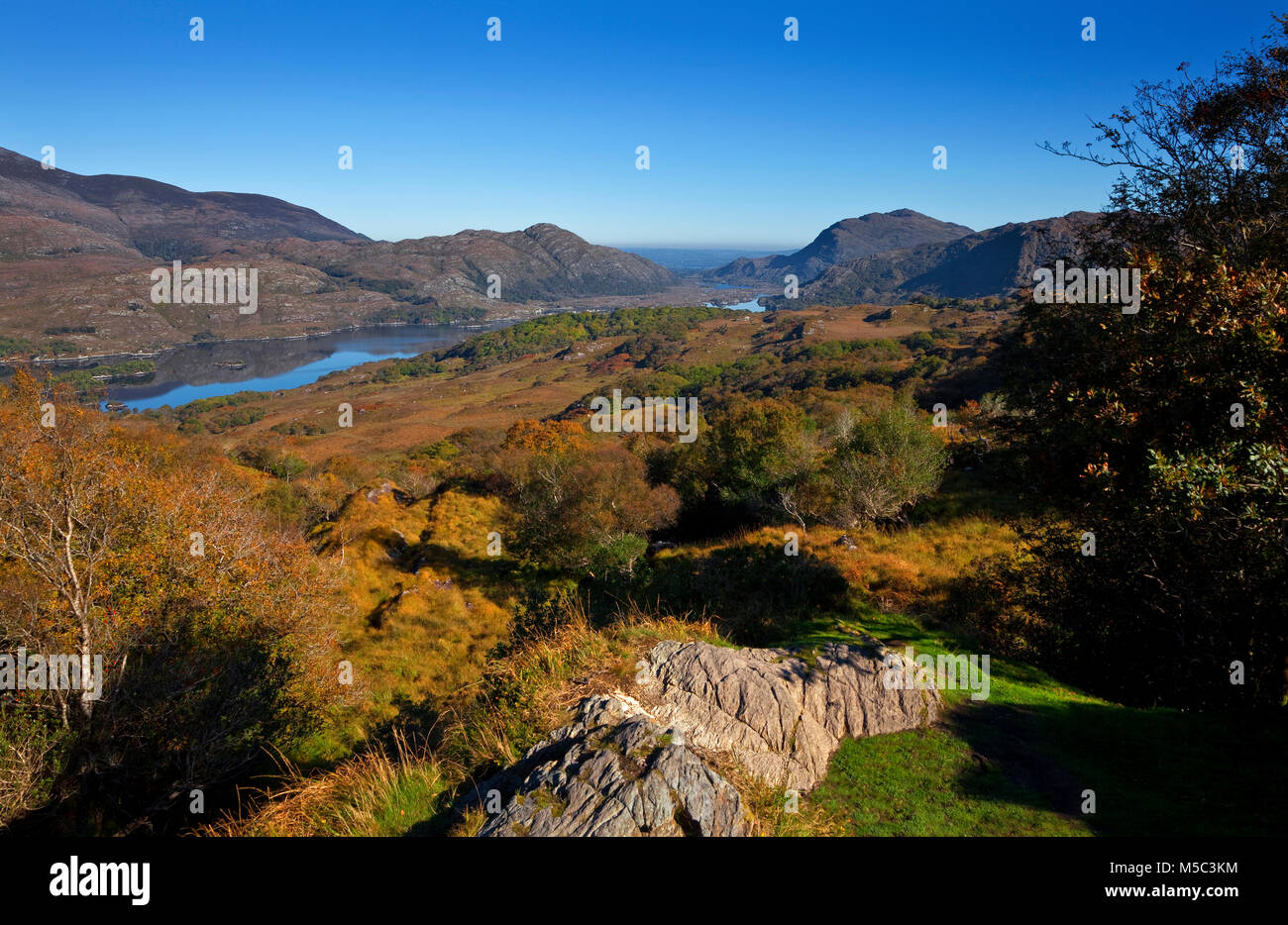 Ladies View,  Killarney National Park, County Kerry, Ireland Stock Photo