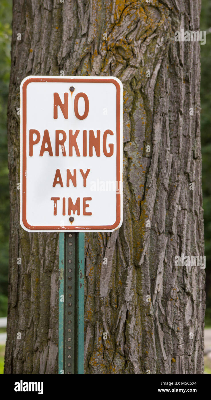 No Parking Anytime Sign Stock Photo Alamy no-parking-anytime-sign-stock-photo-alamy