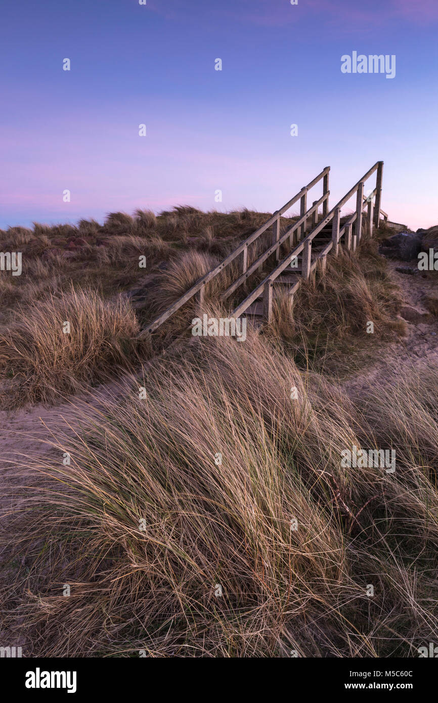 The steps leading down through the dunes to the beach at Findhorn near Forres, Scotland. At sunset. Stock Photo