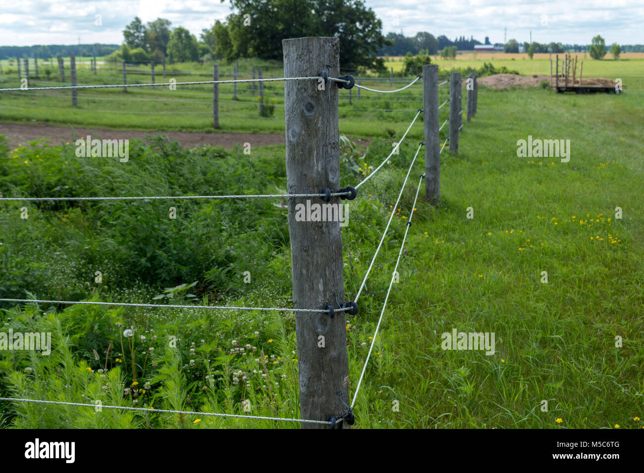 Average Cost To Install An Electric Fence – Forbes Home