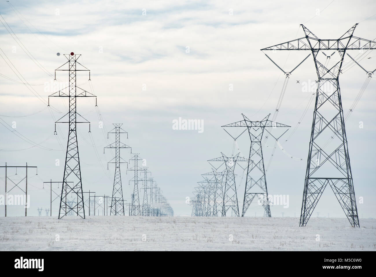 Alberta, Canada. Looking down center of doublerow of electricity