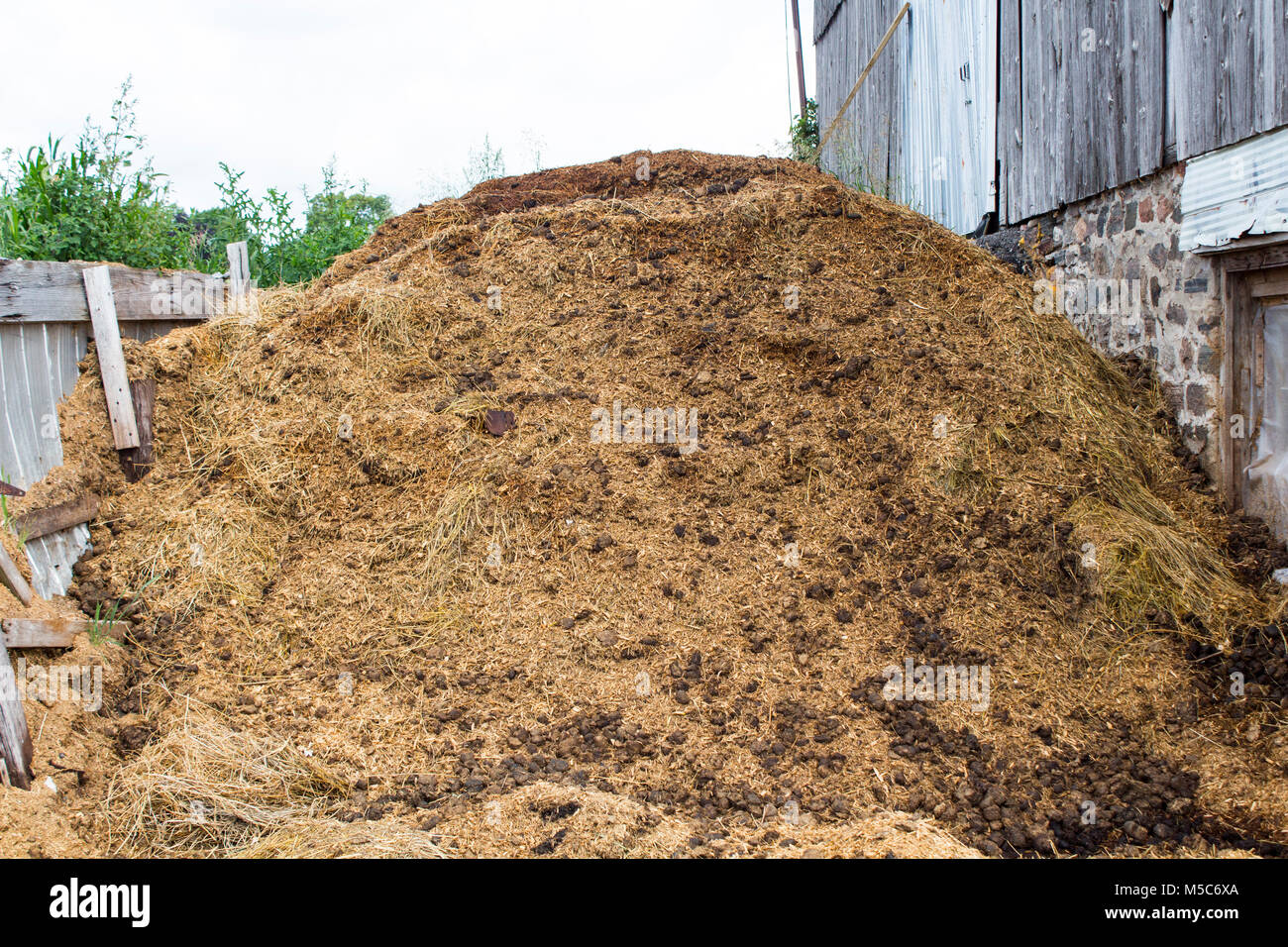 How To Get Horse Poop In Rust