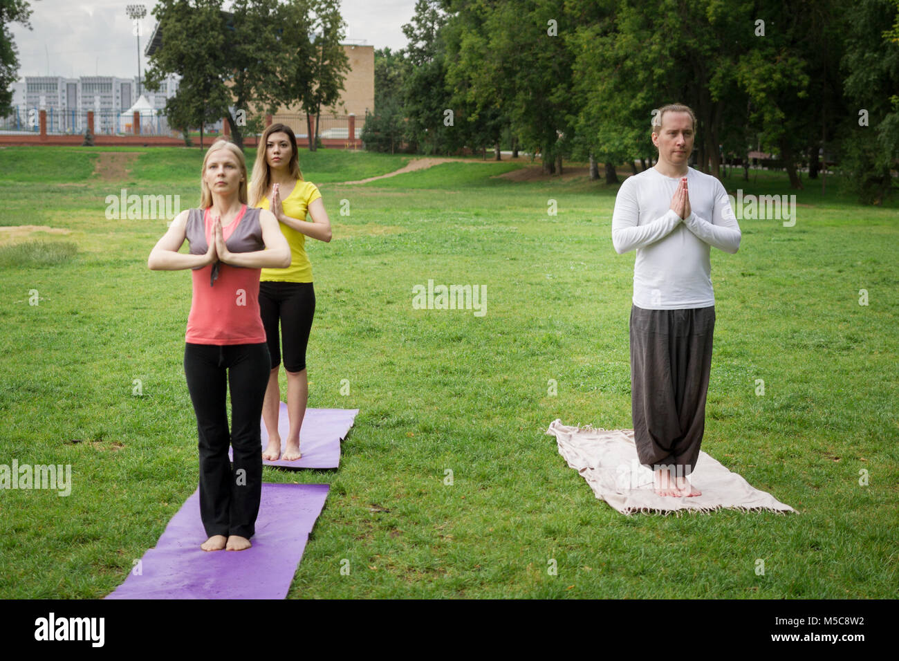 A group of yogis in nature perform breathing exercises Stock Photo Alamy