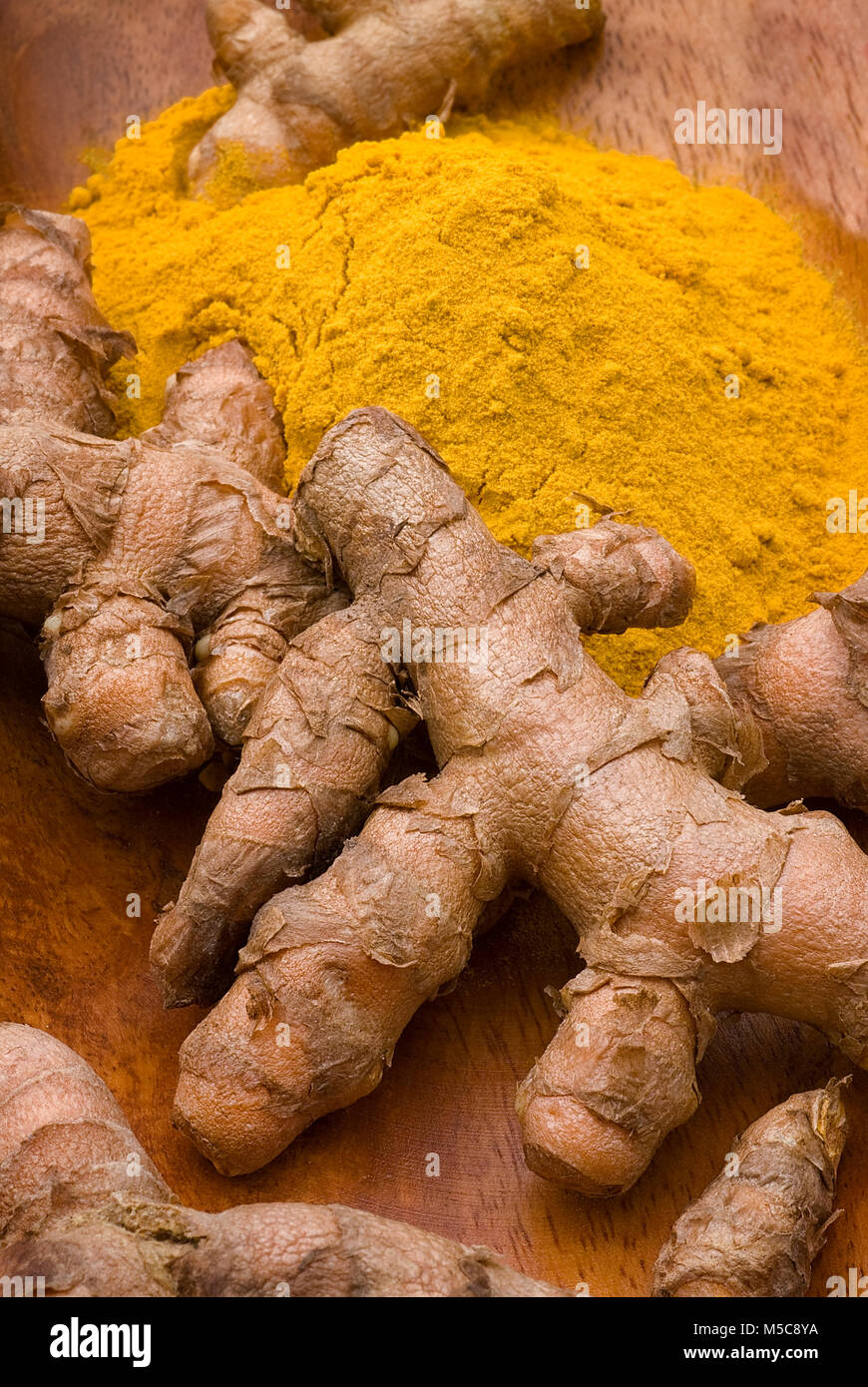 Turmeric (Curcuma longa) is a root of the tropical plant in the same family as ginger, native to India, and cultivated throughout the tropics around t Stock Photo