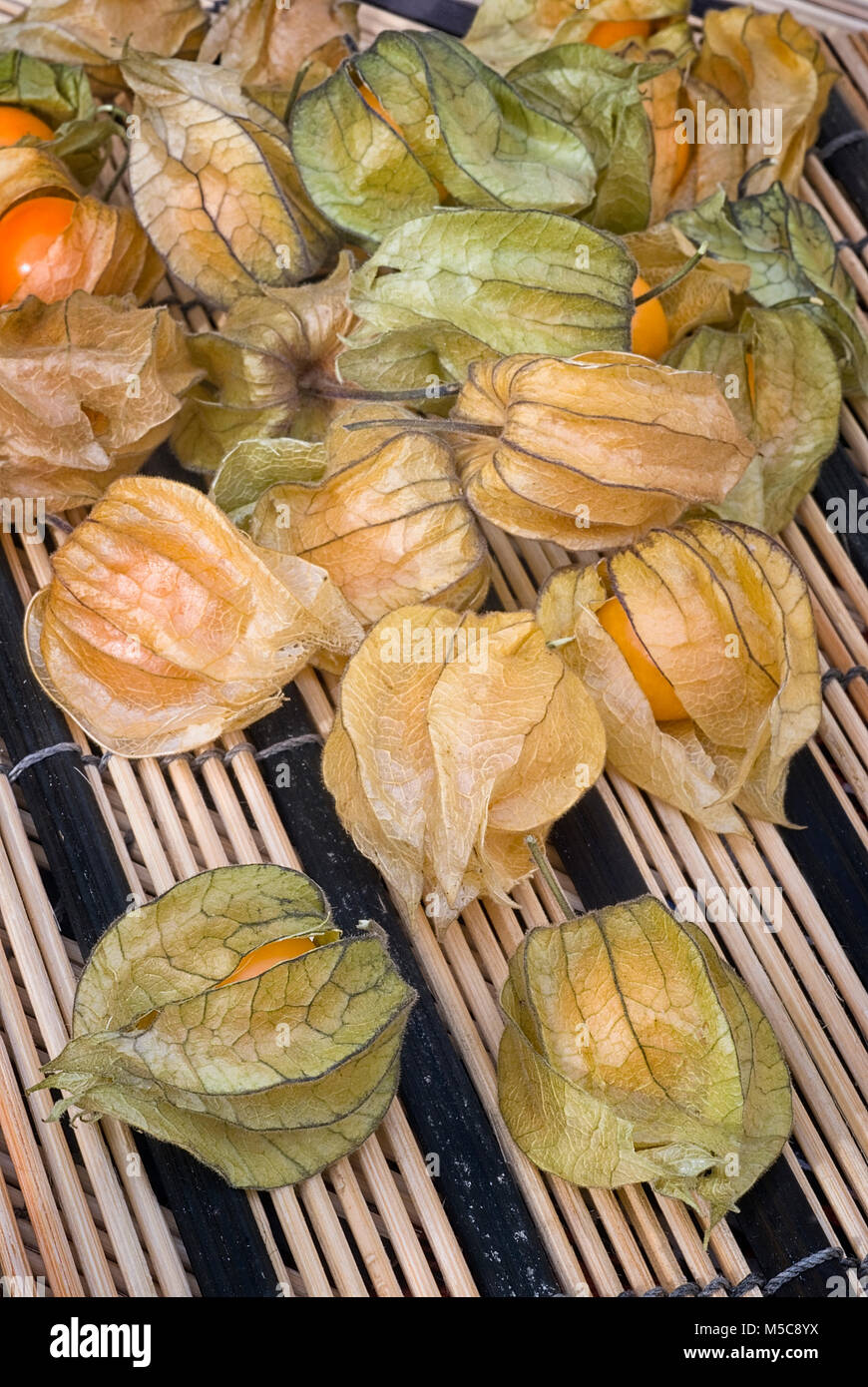 Physalis fruit (Physalis peruviana) also called Cape gooseberry, Uchuva or gold berries. Plant with edible fruit native of Perù. Stock Photo