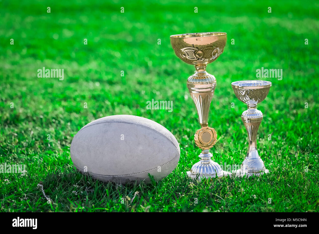 Rugby league world cup trophy hi-res stock photography and images - Alamy