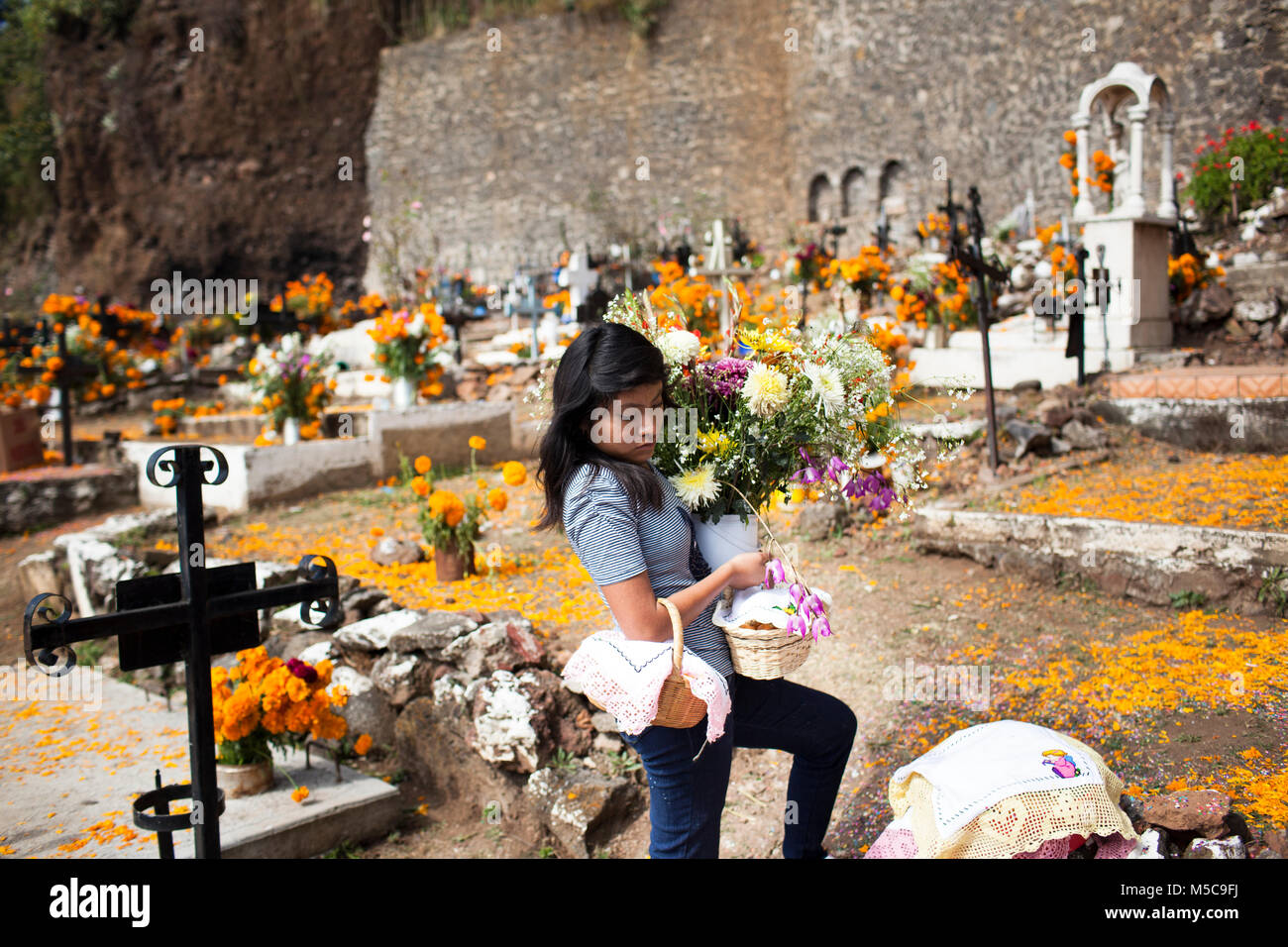 A young girl decorates graves on Janitzio Island during Dia de los Muertos (Day of the Dead) celebrations in Lake Patzcuaro, near Patzcuaro, Michoacan, Mexico on Saturday, November 1, 2014.  Dia de los Muertos (Day of the Dead) is a traditional holiday centred around remembering and honouring deceased family members. Far from a somber affair, Dia de los Muetros is a celebration of life. Patzcuaro, a picturesque town in the state of Michoacan, Mexico (seven hours west of Mexico City), attracts tourists from all over the world in the days leading up to Dia de los Muertos (November 1st and 2nd). Stock Photo