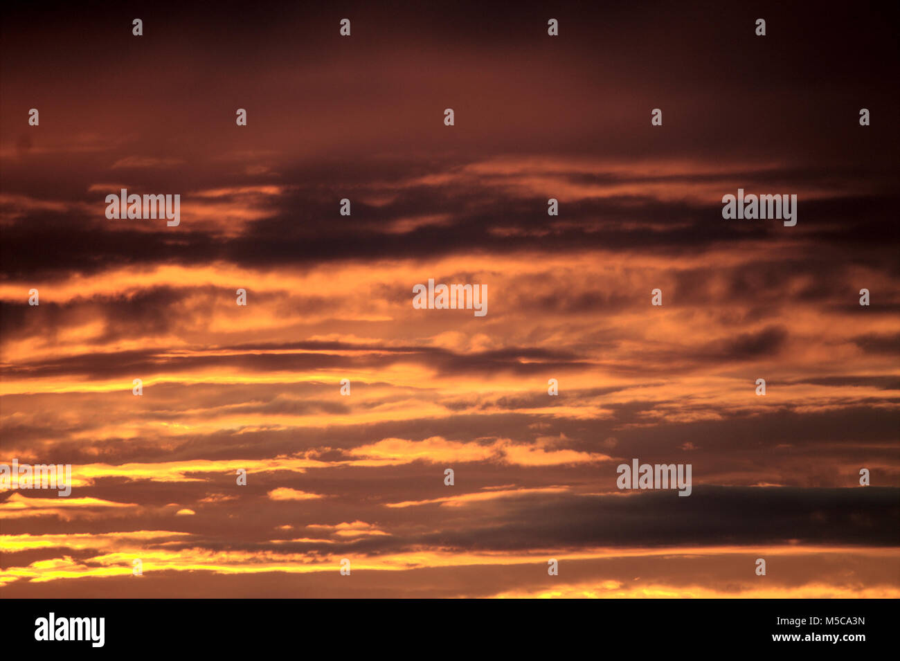 Dynamic scattered clouds with a reddish glow just before the sun sets ...