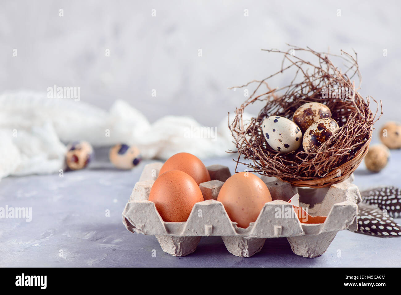Brown eggs in craft carton pack with quail eggs in a nest on a concrete background. Fresh ingredients for Easter cooking. Copy space. Stock Photo