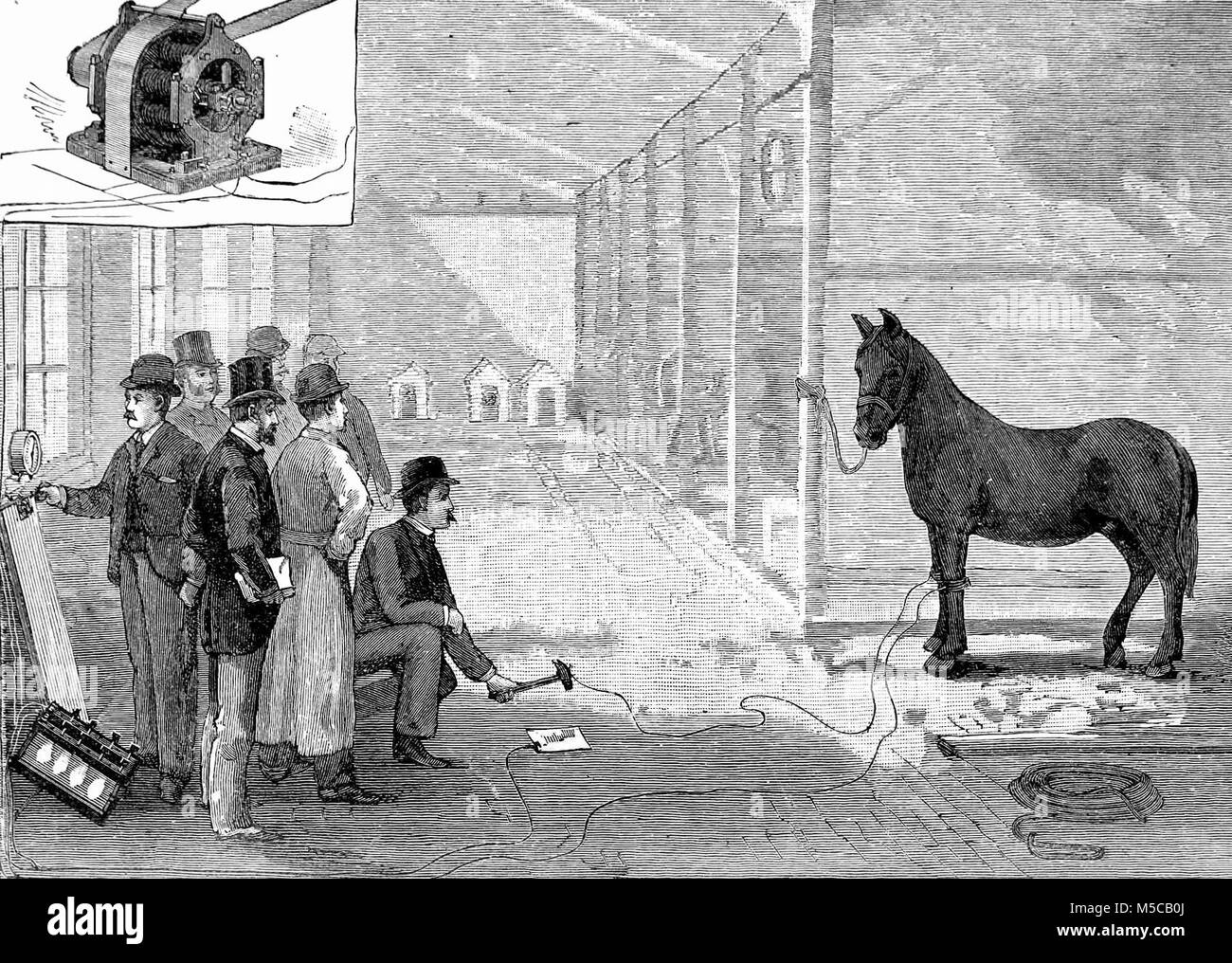 Anti-alternating current demonstration by activist Harold P. Brown demonstrating the killing power of AC to the New York Medico-Legal Society by electrocuting a horse at Thomas Edison's West Orange laboratory. Illustration was originally from 'Experiments on Death by Electricity', Scientific American 59 - December 22, 1888. In order to more conclusively prove to the Society that alternating current would be suitable for the electric chair Brown set up an experiment with members of the press, members of the Medico-Legal Society, the chairman of the death penalty commission, and Thomas Edison Stock Photo