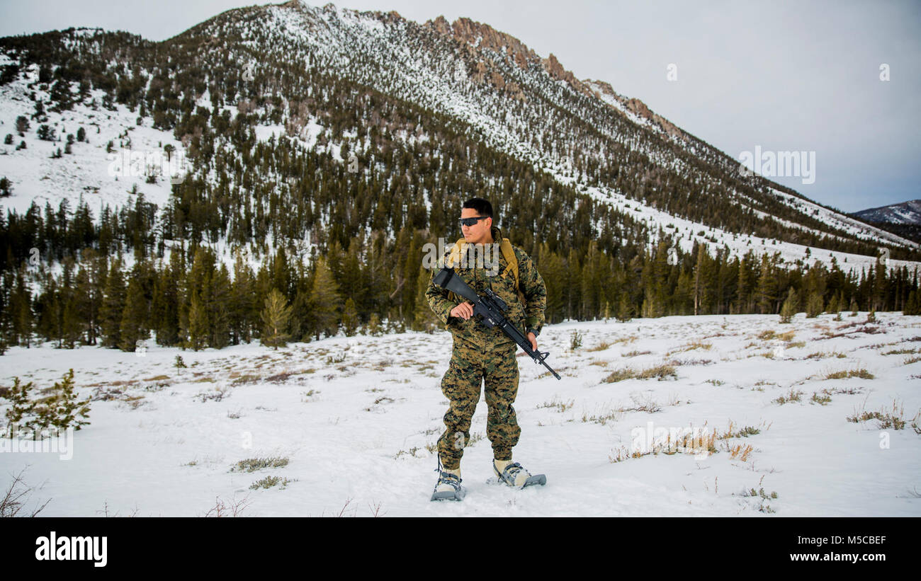 U.S. Marine Corps Sgt. Abel Hernandez, a communications chief with Alpha Battery, 2nd Low Altitude Air Defense (LAAD) Battalion, conducts a tactical movement during Mountain Training Exercise (MTX) 1-18 on Marine Corps Mountain Warfare Training Center Bridgeport, Calif. on Jan. 29, 2018. 2nd LAAD participated in MTX to increase the unit’s ability to rapidly respond, sustain itself, and to accomplish missions in a unique cold weather environment and mountainous terrain. (U.S. Marine Corps Stock Photo