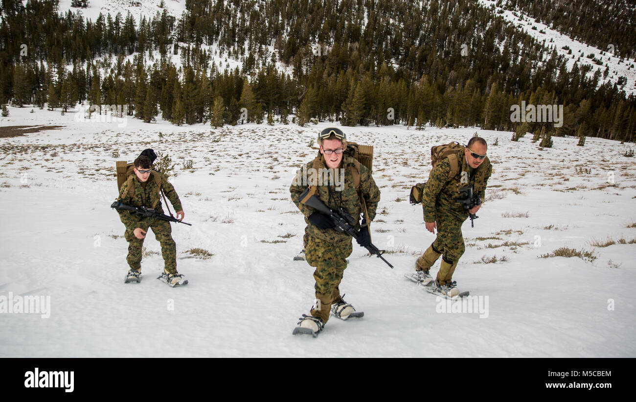 U.S. Marines with Alpha Battery, 2nd Low Altitude Air Defense (LAAD) Battalion conduct a tactical movement during Mountain Training Exercise (MTX) 1-18 on Marine Corps Mountain Warfare Training Center Bridgeport, Calif. on Jan. 29, 2018. 2nd LAAD participated in MTX to increase the unit’s ability to rapidly respond, sustain itself, and to accomplish missions in a unique cold weather environment and mountainous terrain. (U.S. Marine Corps Stock Photo